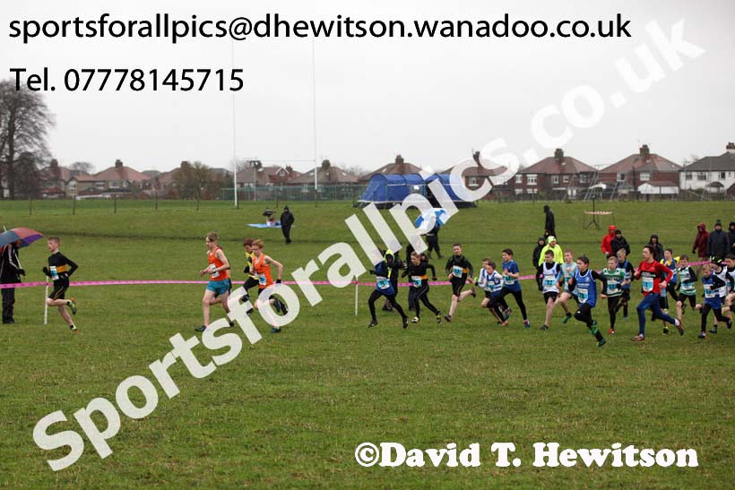 Boys under-13s North Eastern Cross Country, Sedgefield, County Durham. Photo: David T. Hewitson/Sports for All Pics